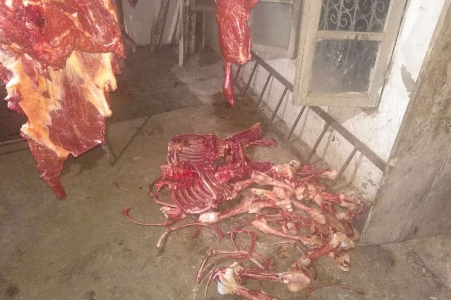 At əti satışına görə yenidən tutuldu -  FOTOLAR