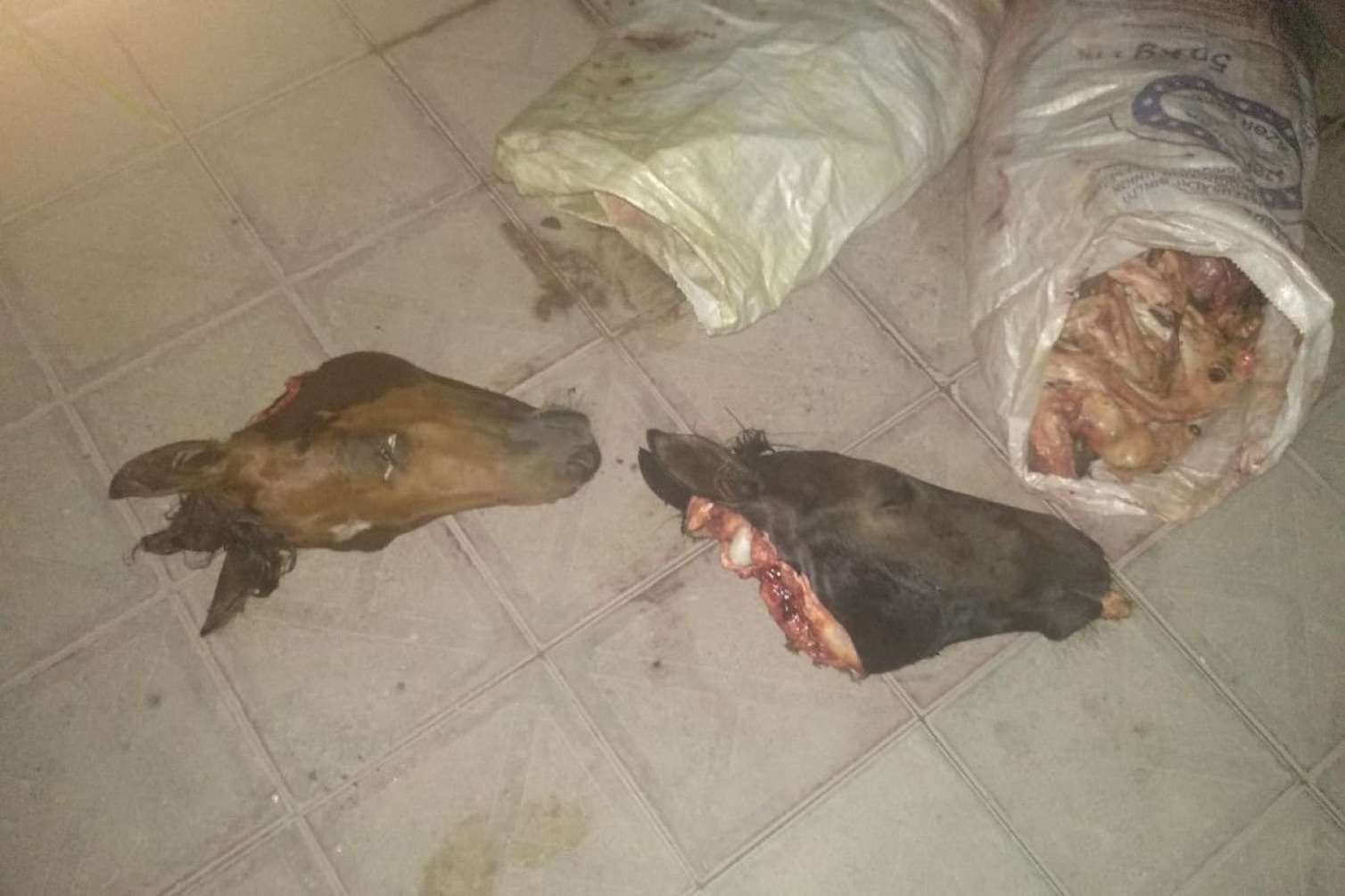 At əti satışına görə yenidən tutuldu -  FOTOLAR