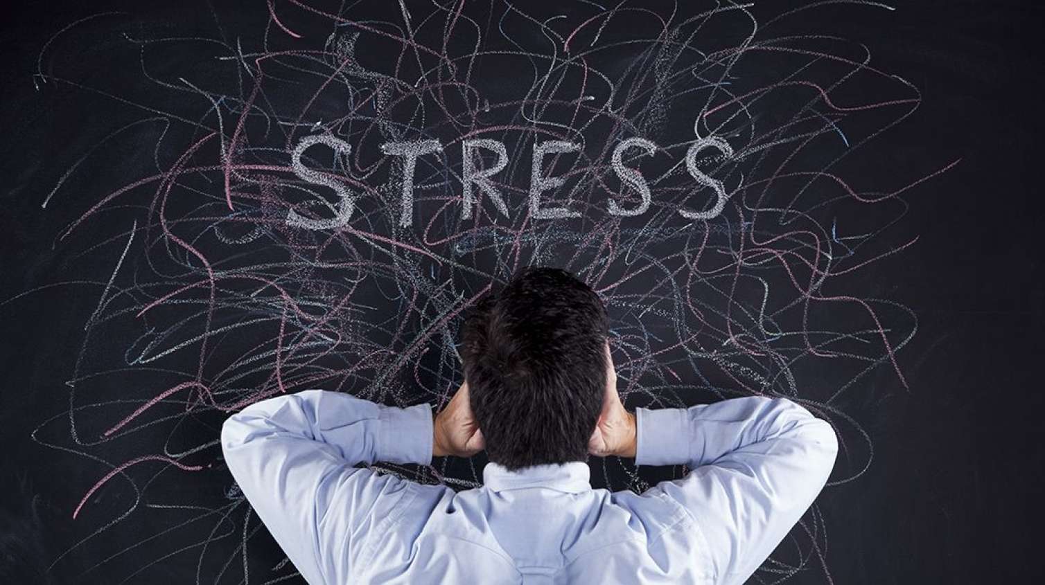 Stress hormonunu necə azaltmaq olar? - 3 tövsiyə 