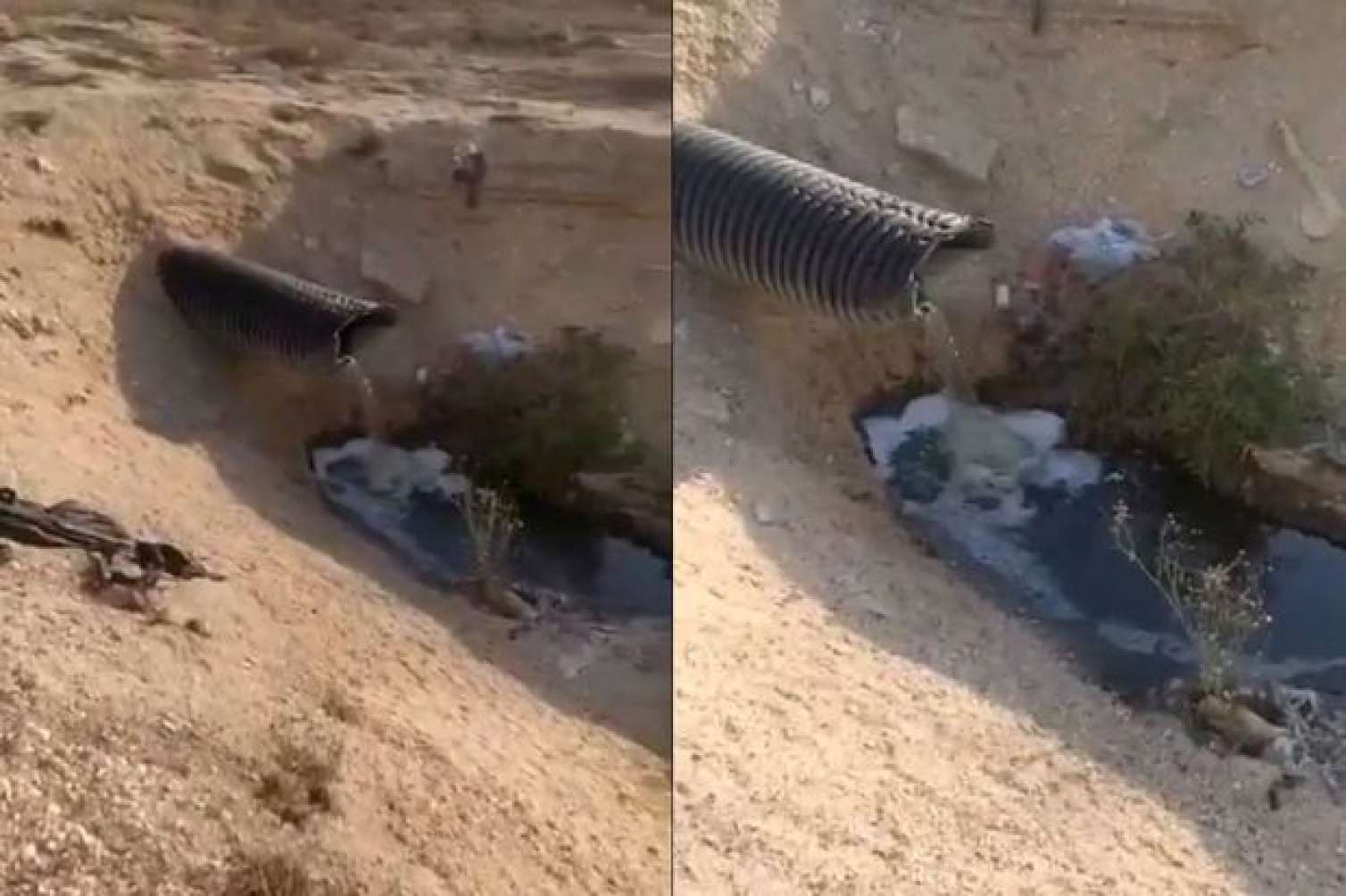 Bakı çimərliyində acınacaqlı vəziyyət: Kanalizasiya suları dənizə axıdılır - VİDEO 
