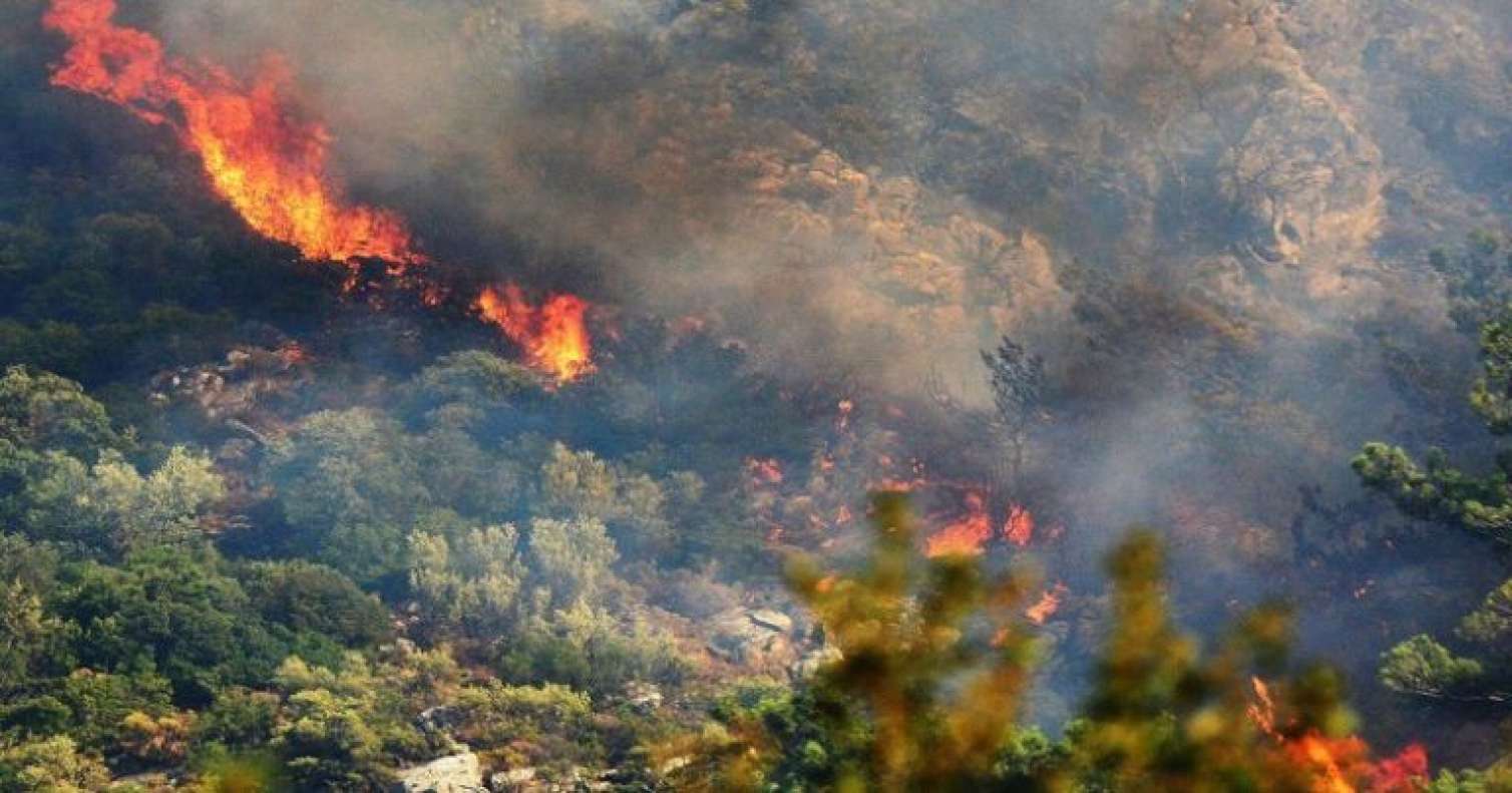 Laçında meşə yanğını... - 3 nəfər saxlanıldı 
