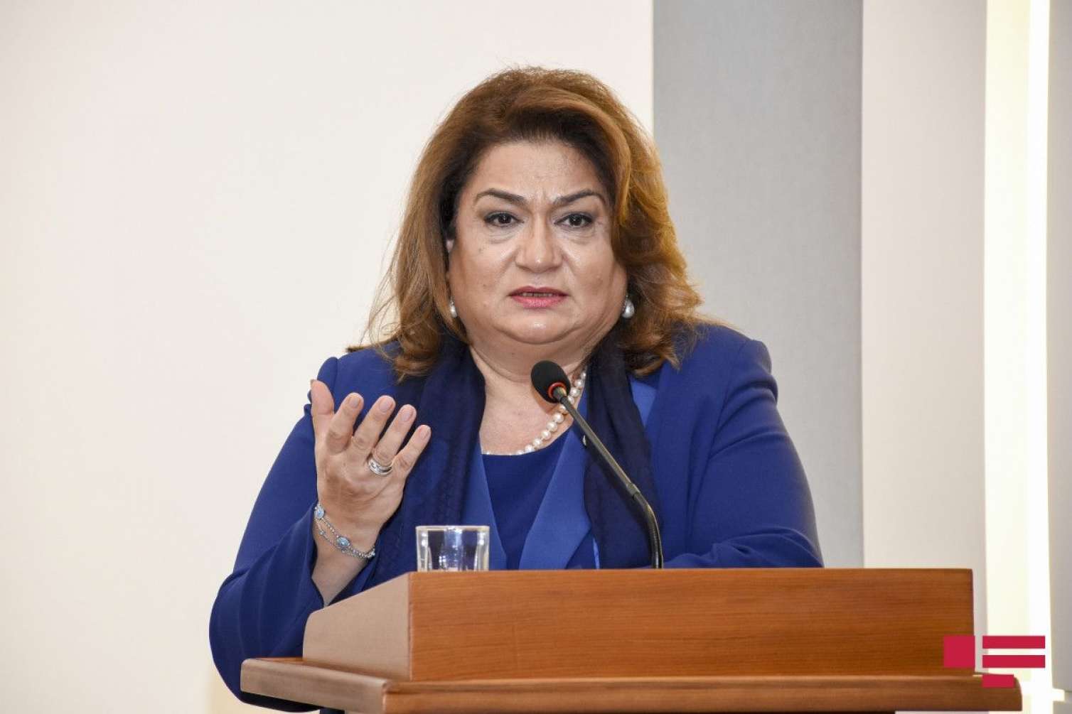 “Sosial yardım insanları xarab edib, işləmək istəmirlər" - Hicran Hüseynova 