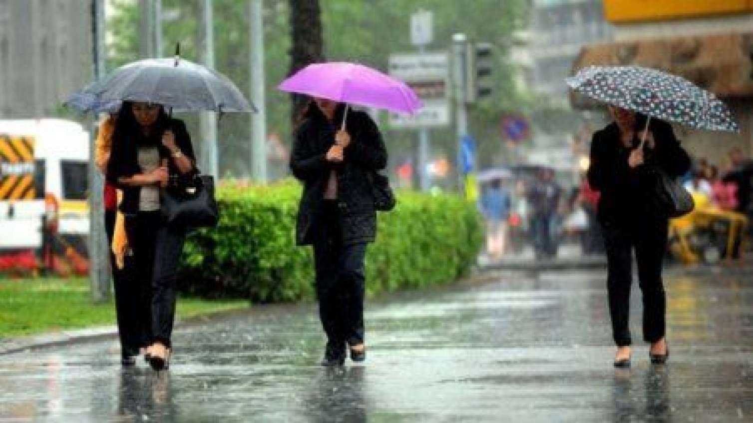 Bazar gününün hava proqnozu 