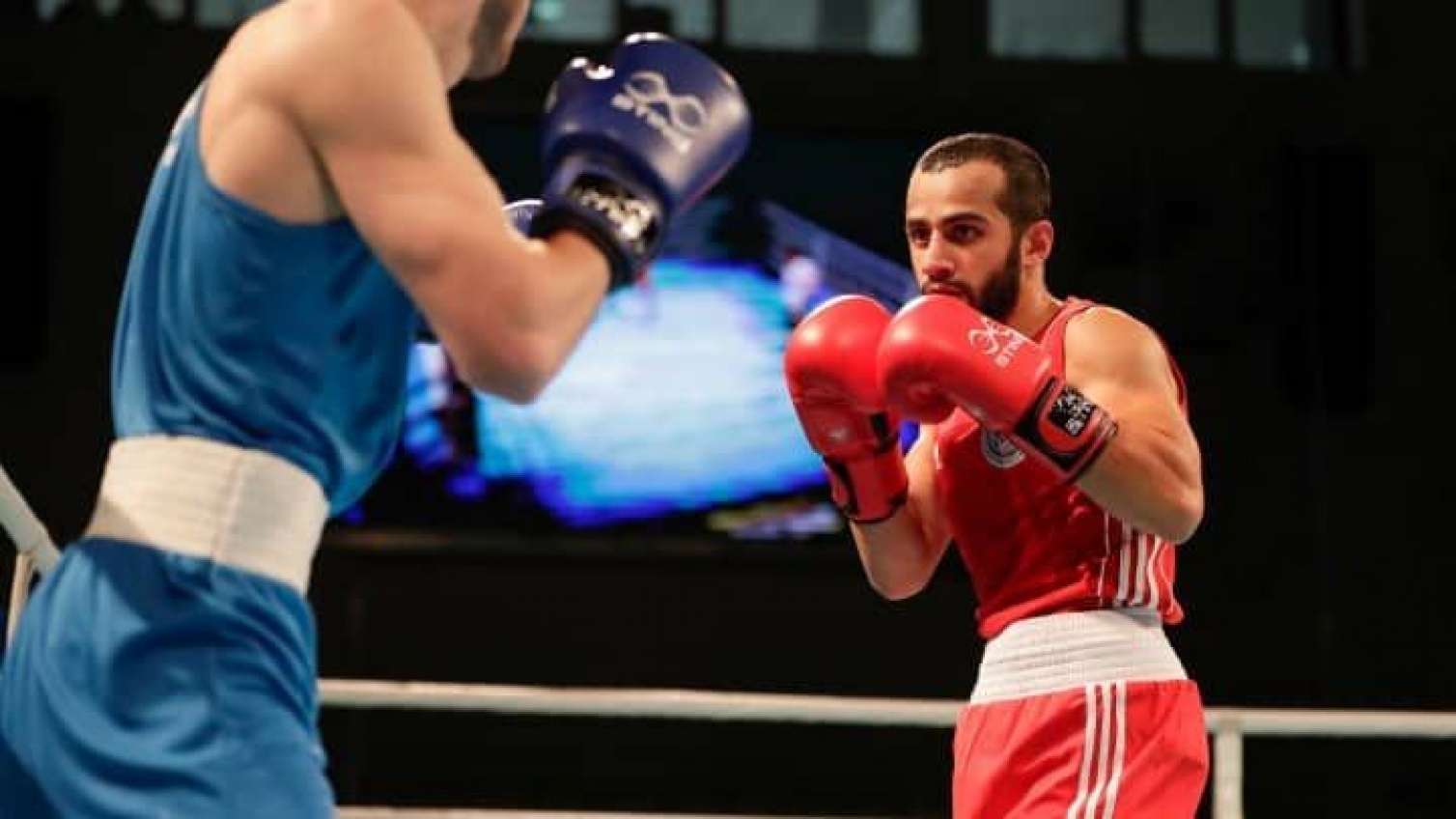 Erməni boksçu azərbaycanlı ilə döyüşə çıxmaqdan imtina etdi 
