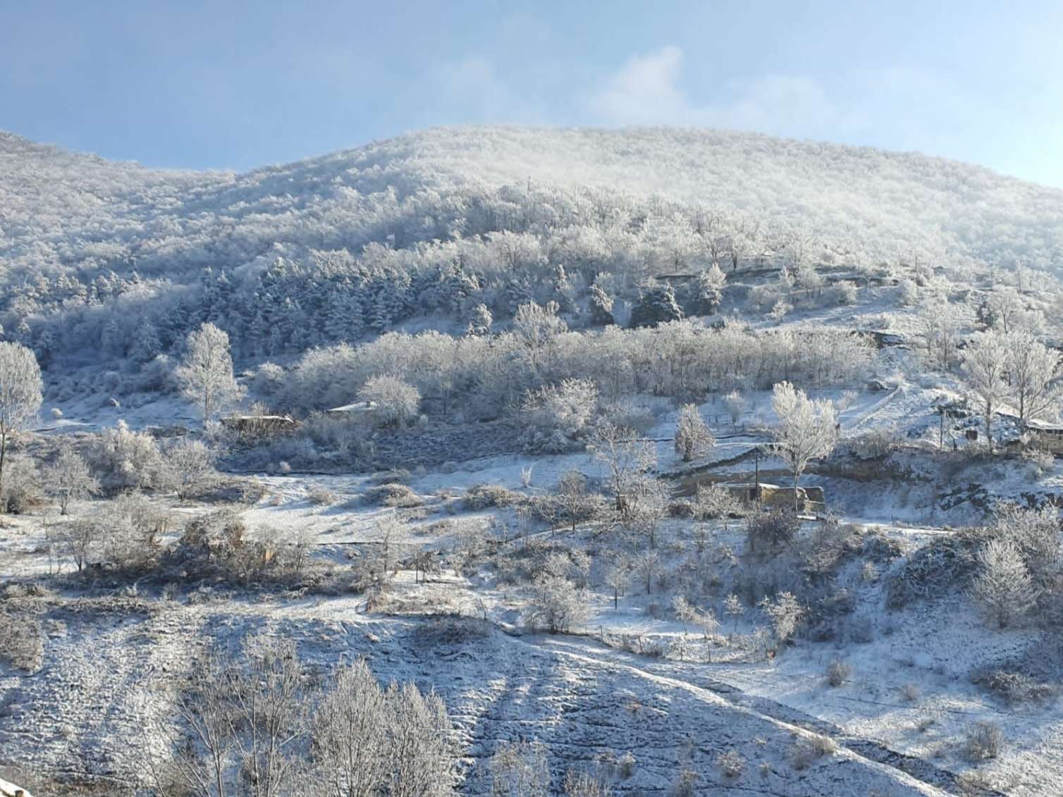 Ağ örpəyə bürünən Laçın... -  FOTO
