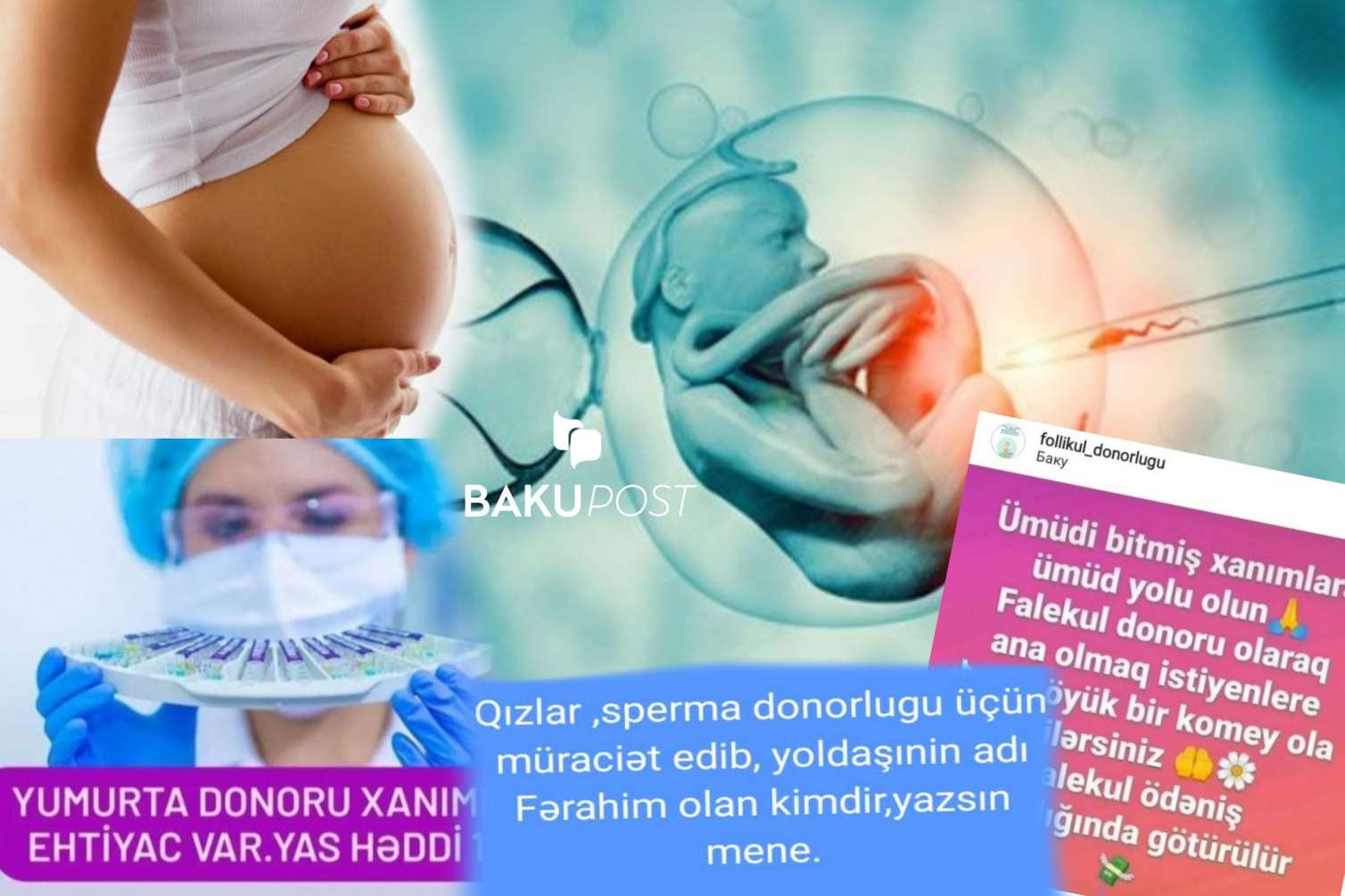 Azərbaycanda 20 il sonra qardaş bacıyla evlənə bilər! - Süni mayalanma fəlakəti –  ARAŞDIRMA  