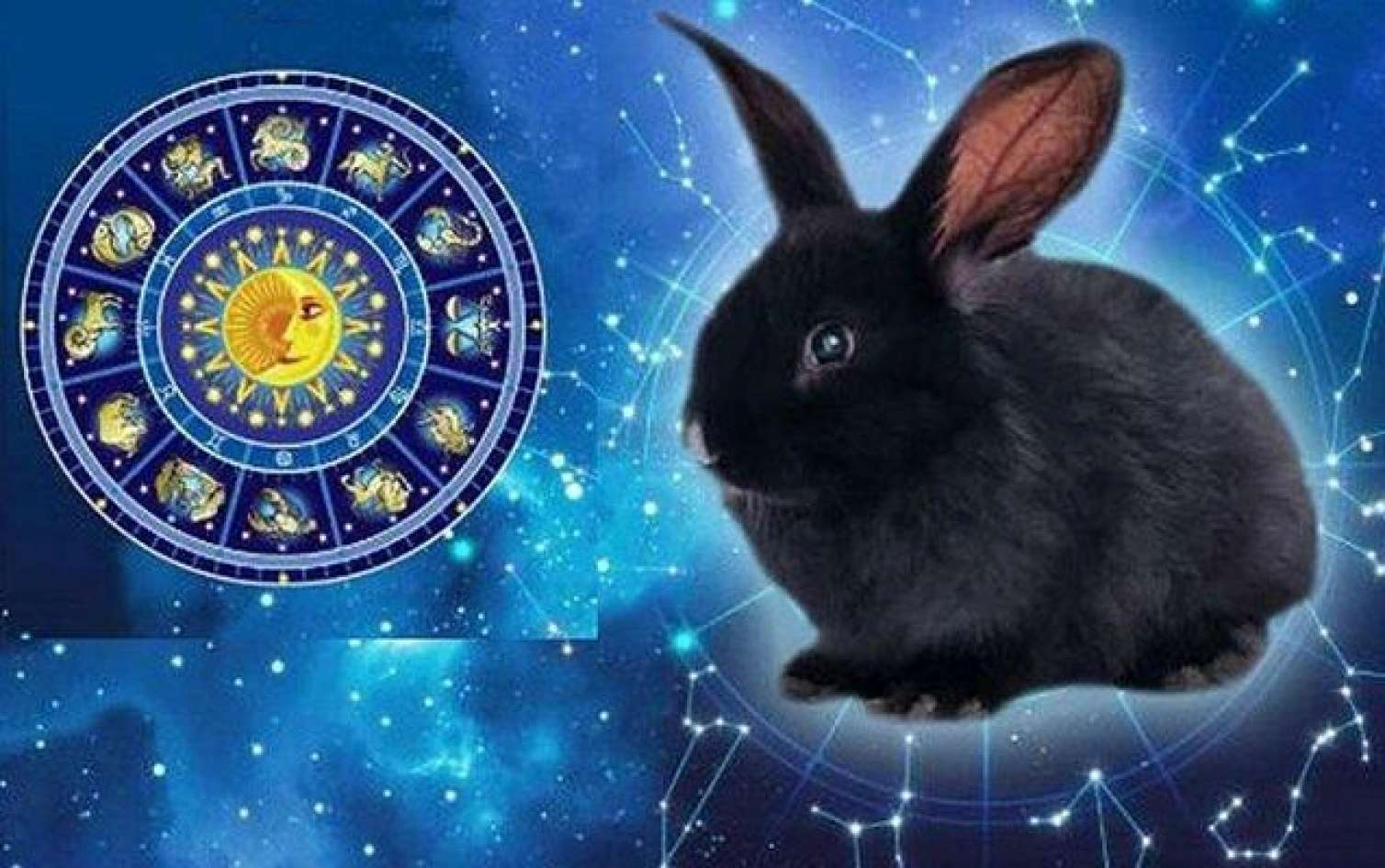 Dovşan ilinin xüsusiyyətləri hansılardır? - Sakit, zərif, yoxsa... 