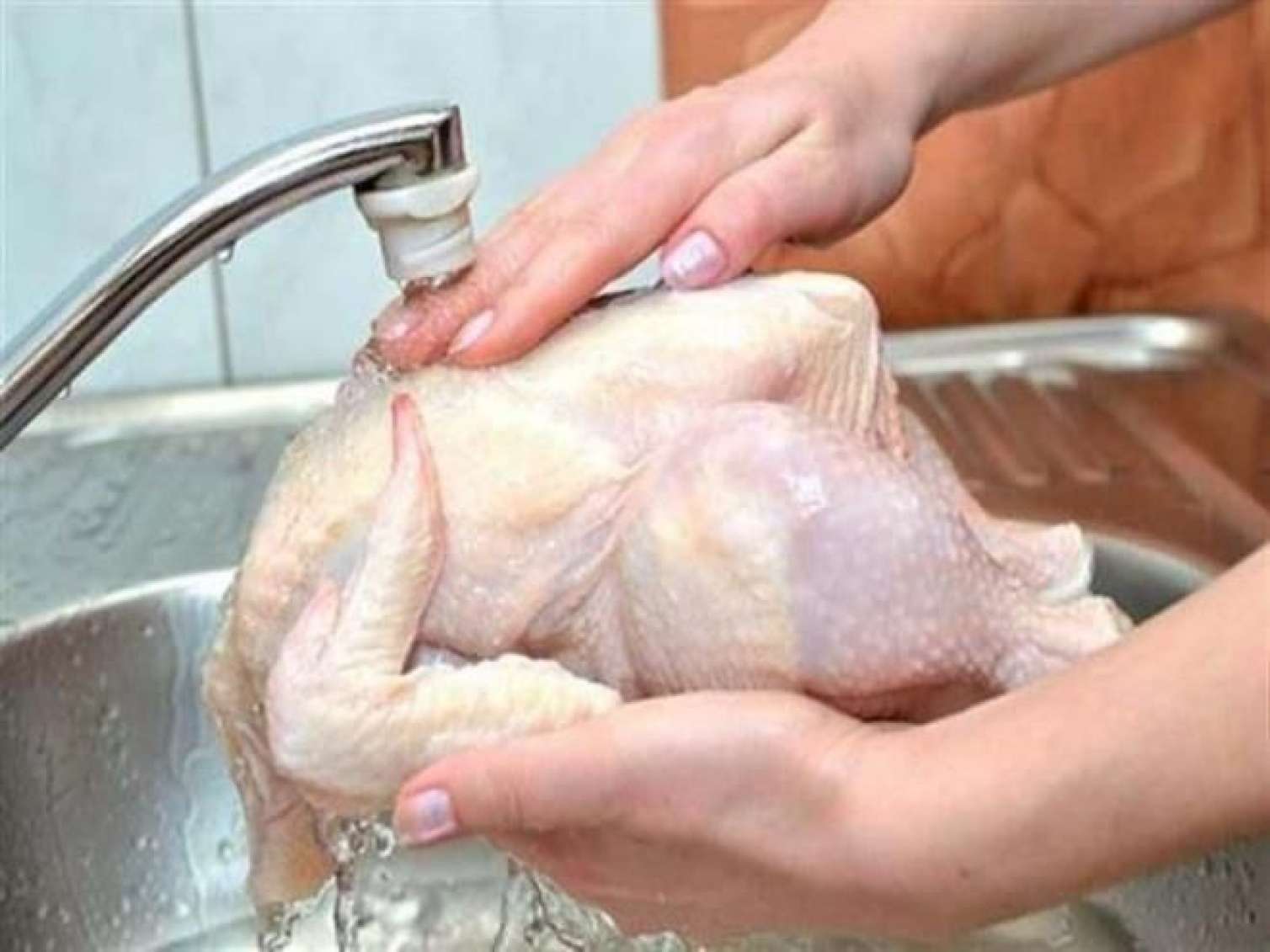 Toyuq ətini yuyub bişirmək təhlükəlidir – Alimlərdən qərar 