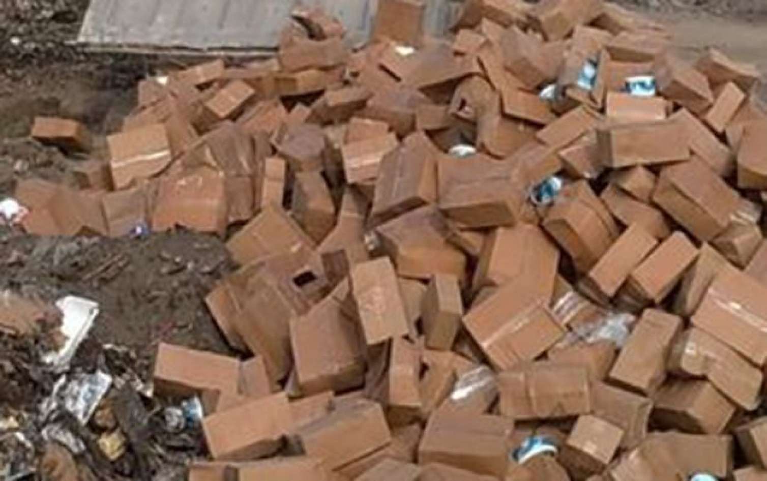 13 tondan çox dondurma məhv edildi 