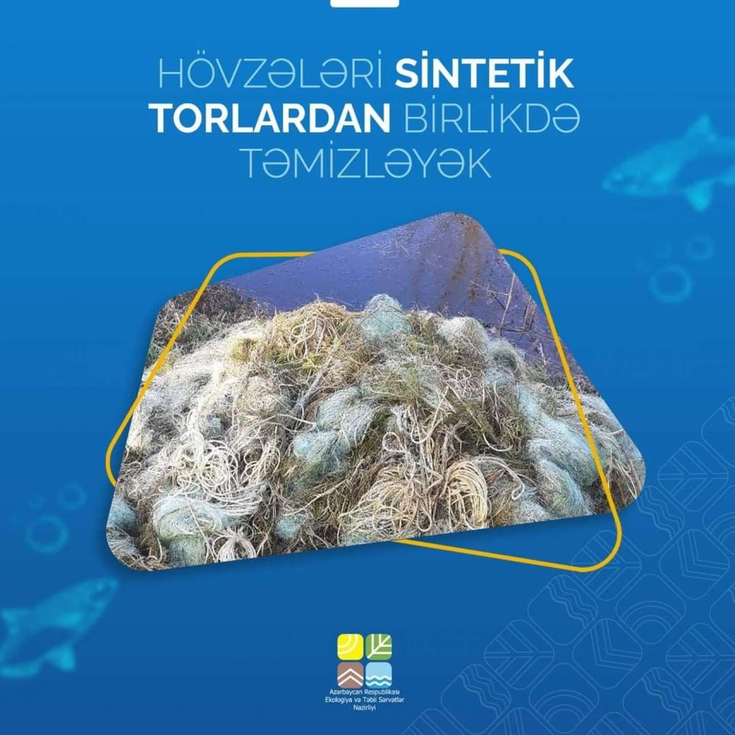 Qanunsuz balıq ovlayan şəxslər saxlanıldı - FOTO 