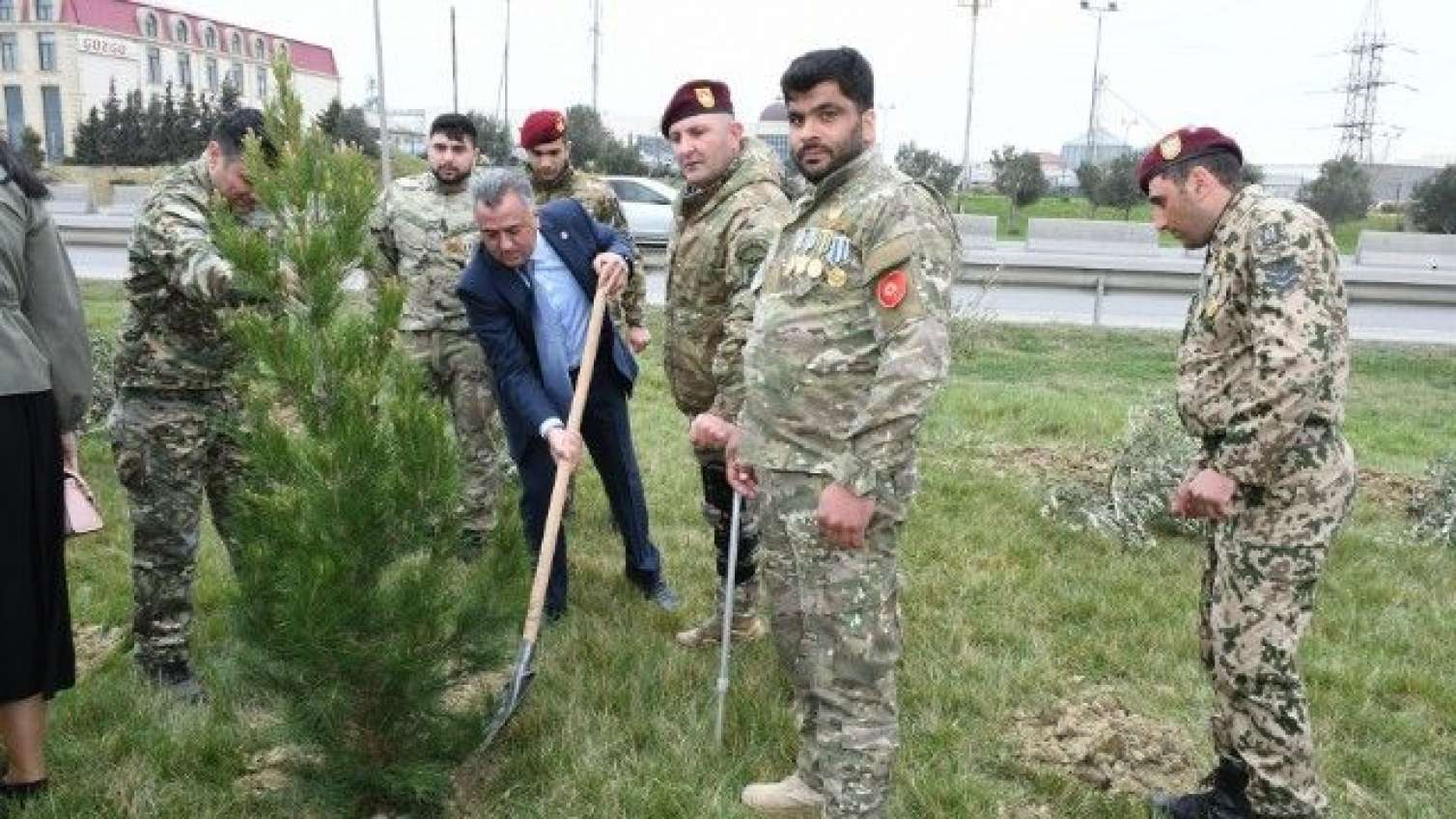 Abşeronda ağacəkmə aksiyası keçirildi - FOTO 