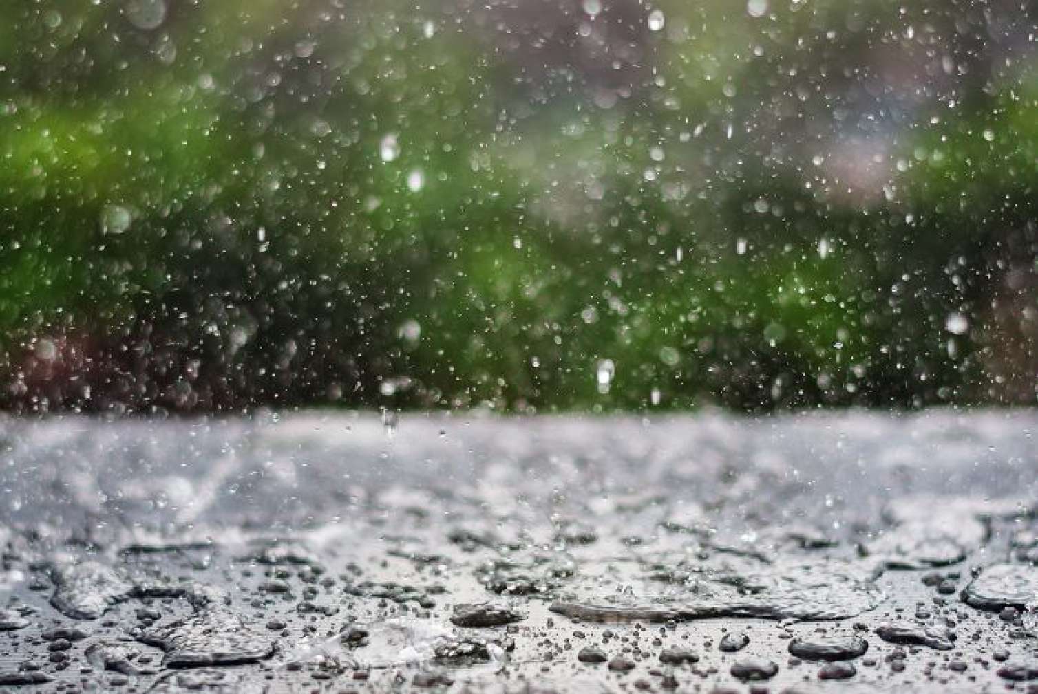 Hava şəraiti ilə bağlı ƏN SON MƏLUMAT  