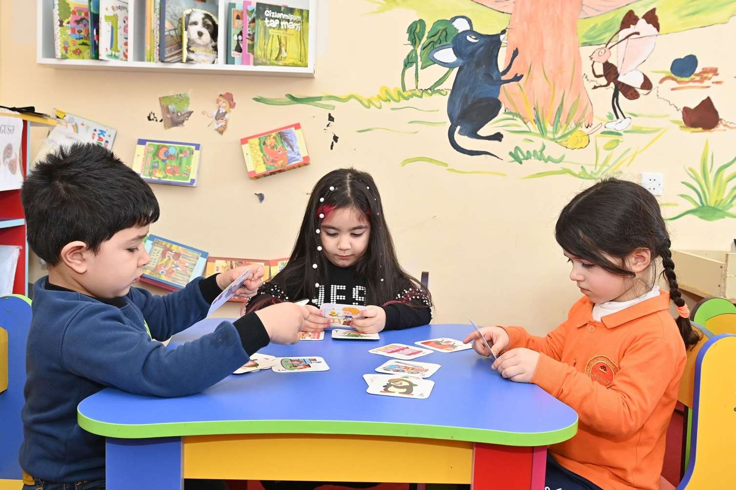 Bu bağçalara elektron qeydiyyat başladı 