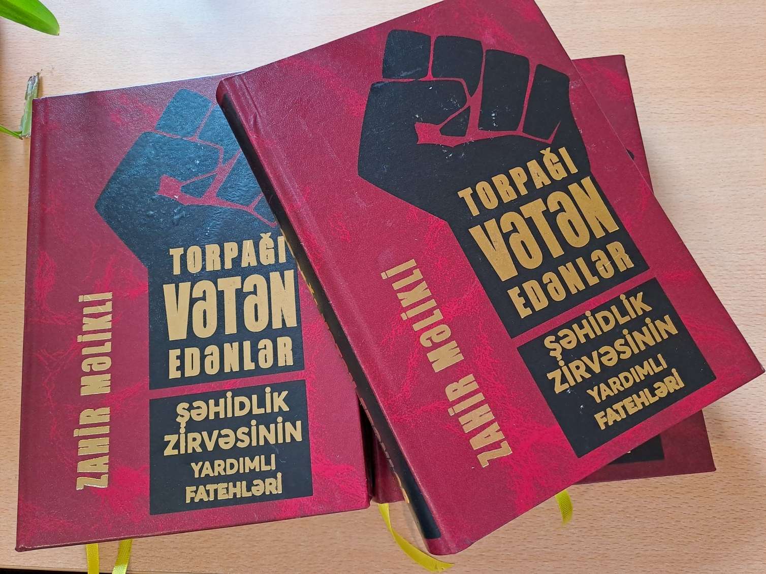 "Torpağı Vətən edənlər..." - Zahir Məliklinin yeni kitabı Yardımlı şəhidlərinə həsr olunub 