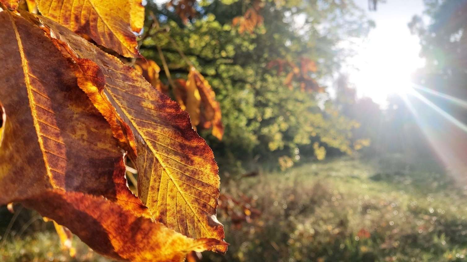 Sabah hava necə olacaq? - PROQNOZ 