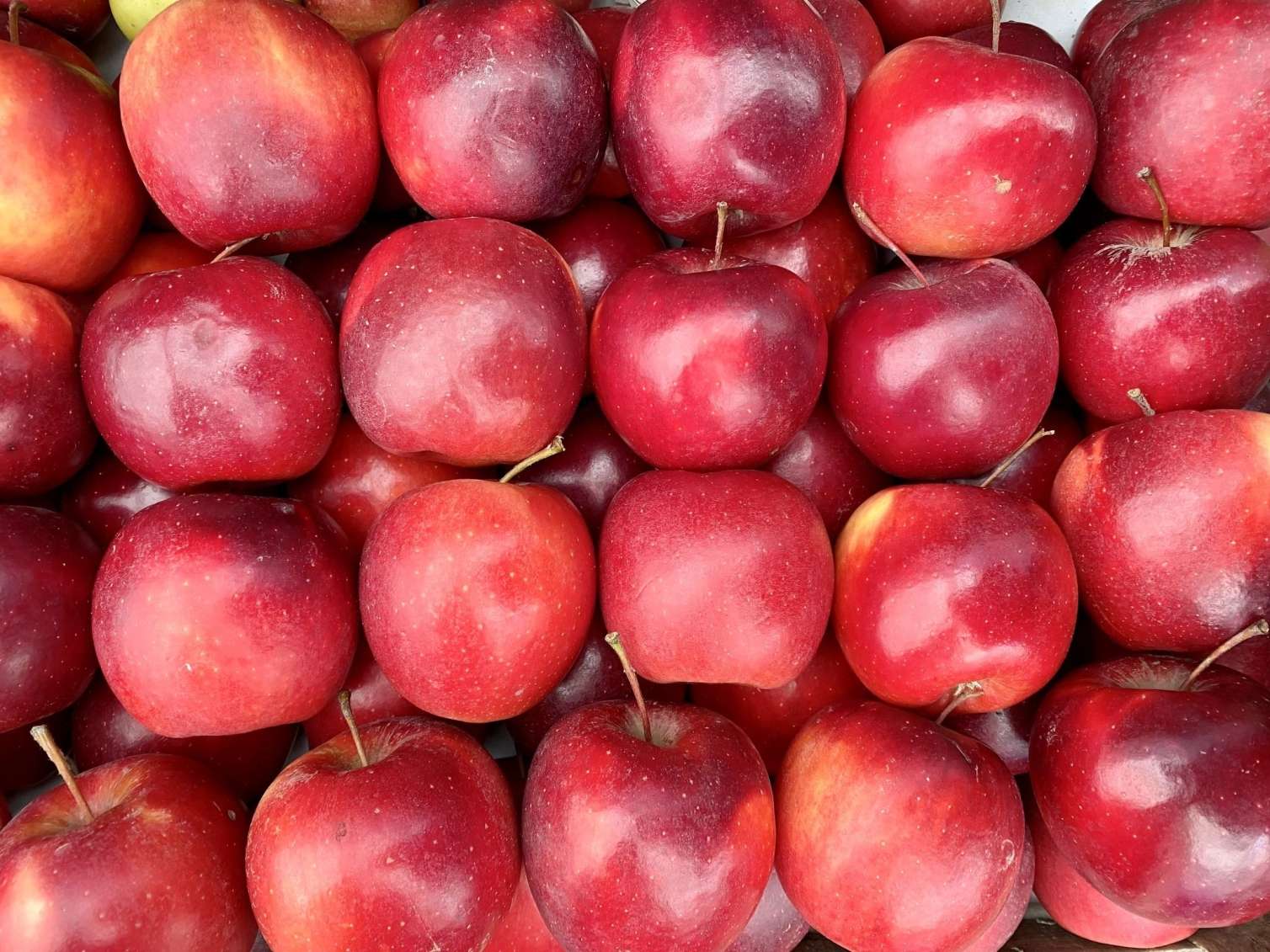 İlkin Həsənovun 163,4 ton alması MƏHV EDİLƏCƏK 