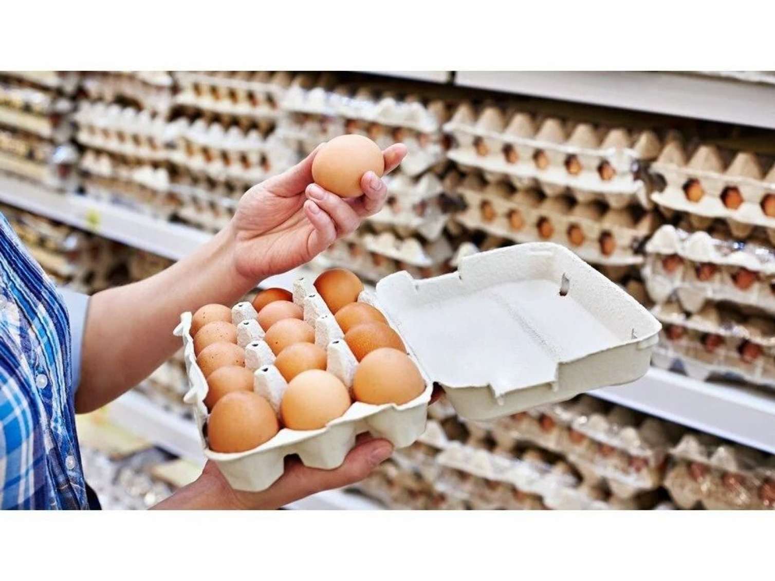 Bu rayonlarda yumurta qıtlığı YAŞANIR 