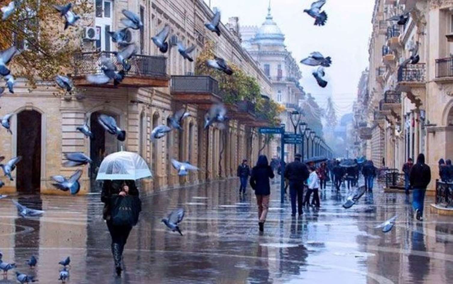 Yenə yağış, yenə külək -  HAVA XƏBƏRDARLIĞI 