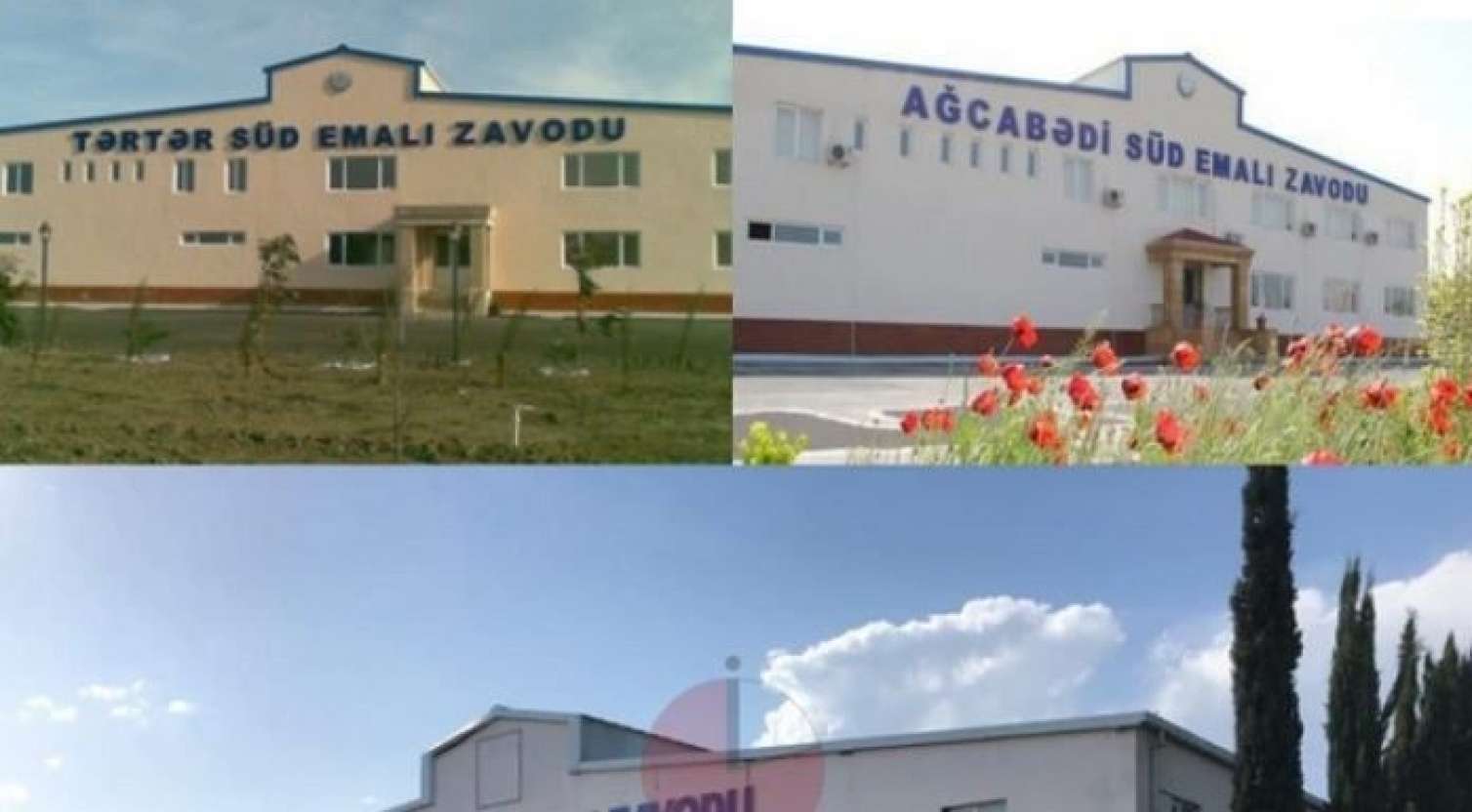 Azərbaycanda üç zavod satışa çıxarıldı – Qiymətlər 