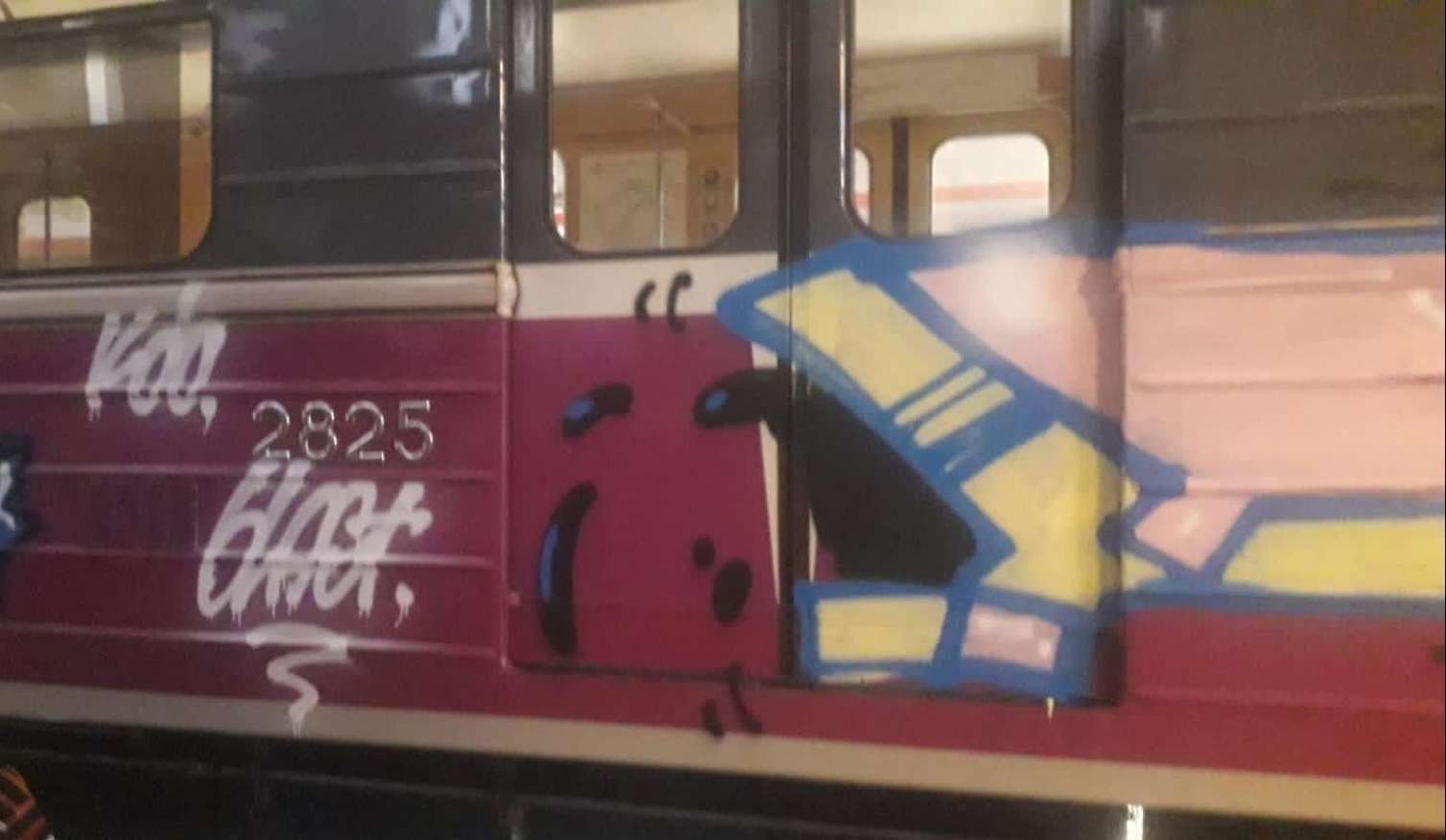 Metronu rənglədiyi üçün həbs olunan fransız rəssam Prezidentə müraciət etdi -  FOTO
