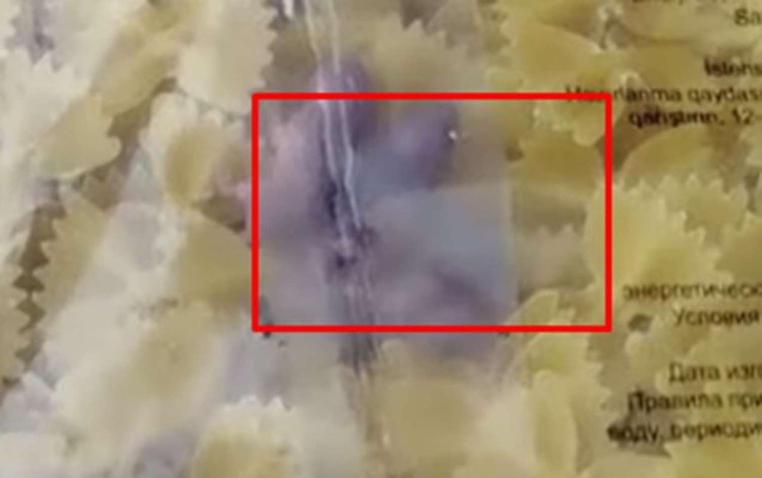  “Azərsun Holdinq”dən “makaronun içərisində siçan balalayıb” iddiasına  CAVAB 