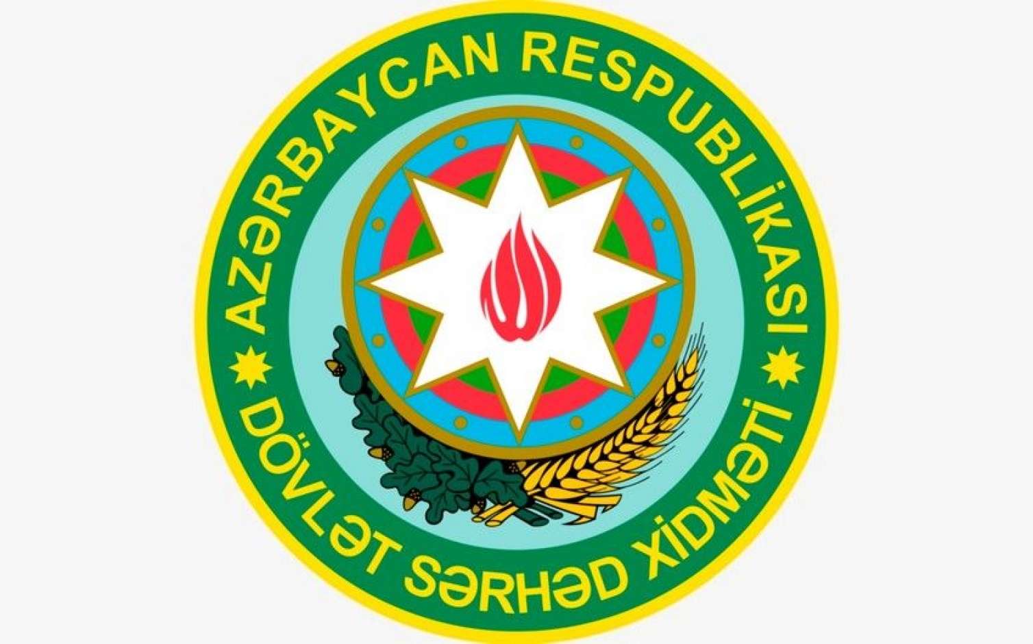 Stress vəziyyətində olub... - DSX qalmaqallı görüntülər haqda 