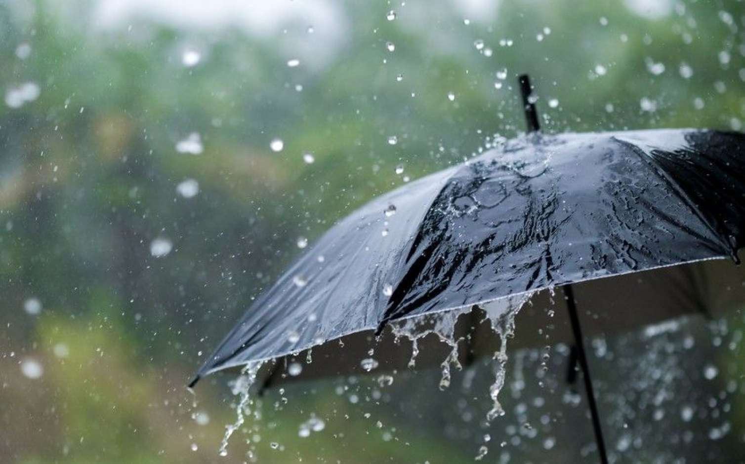 Yağış, duman, külək... - SABAHIN HAVASI 