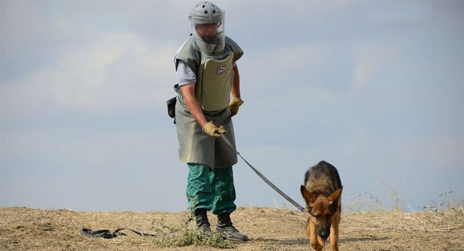 ANAMA-da işləmək istəyənlərin nəzərinə! 