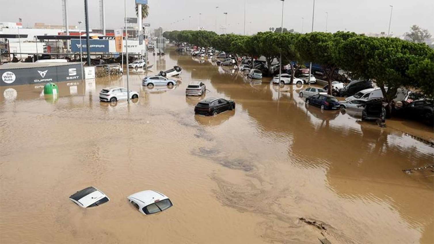 İspaniyada qorxulu ssenari: Yeraltı avtoparkda kütləvi məzarlıq! 