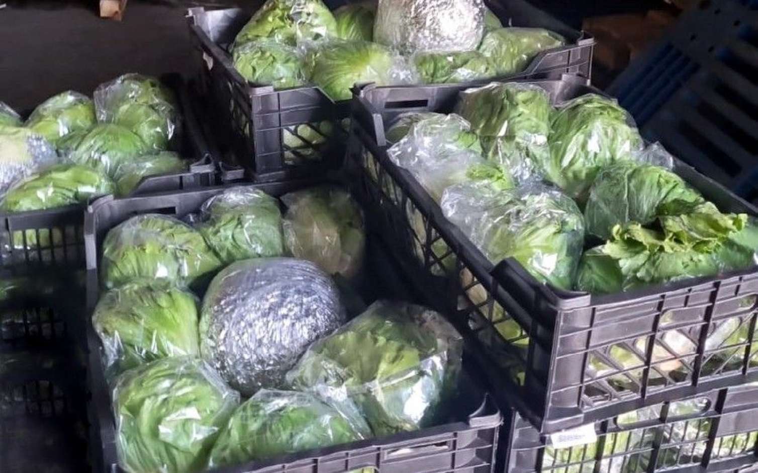 Külli miqdarda narkotikin gömrük sərhədindən keçirilməsinin qarşısı alındı 