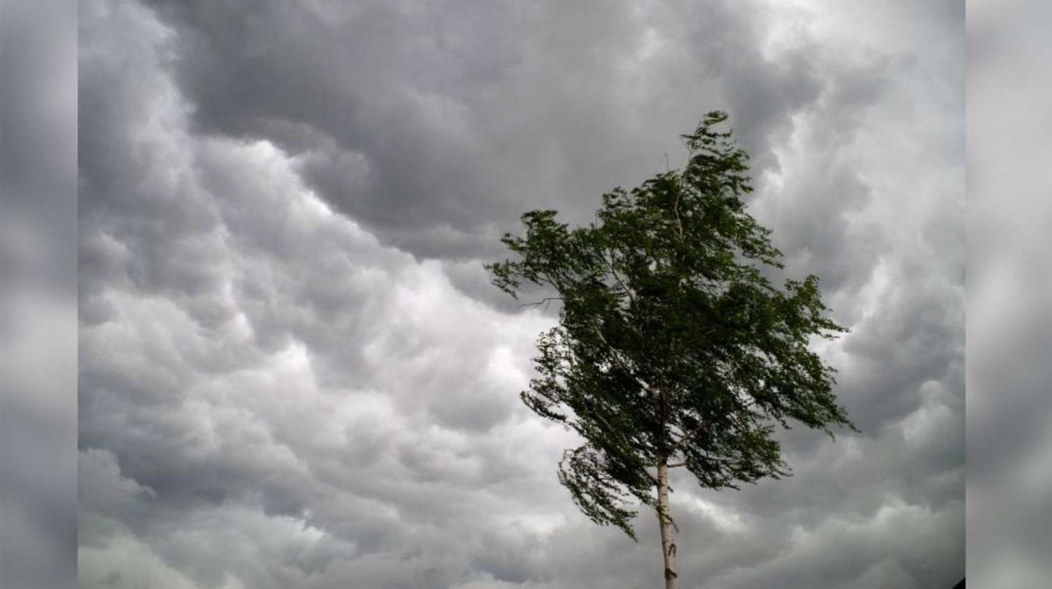 Küləkli hava şəraiti ilə bağlı xəbərdarlıq 
