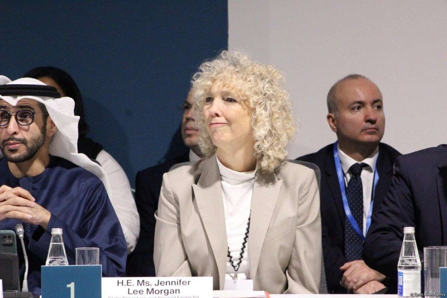 Almaniyanın dövlət katibi: Bakı çağırışı iqlim dəyişikliyi səylərini birləşdirəcək 