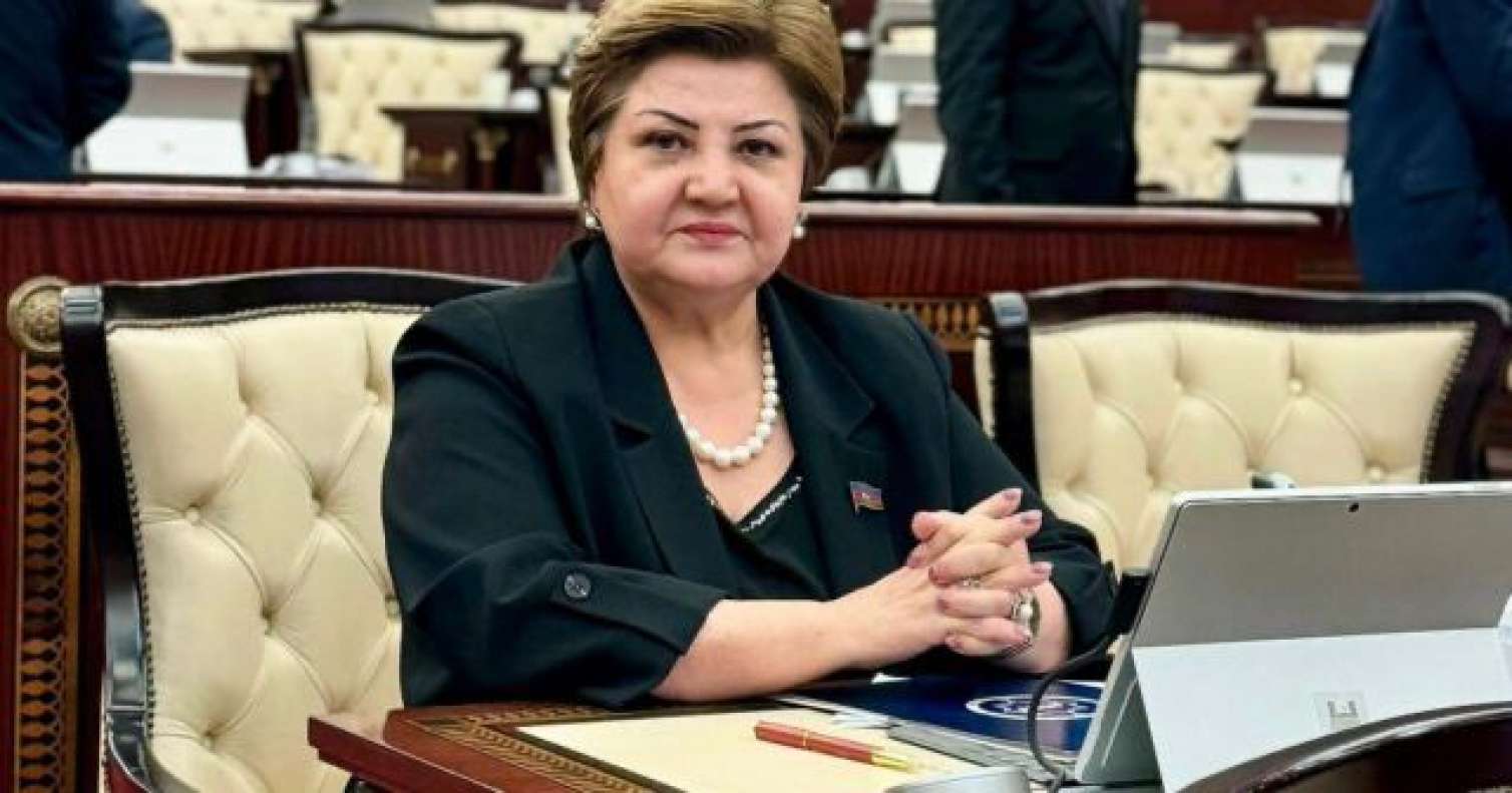 Bölgələrdə kitabxanaların sayı artırılmalıdır - Deputat 