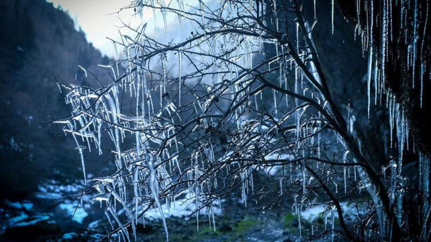 Dağlarda 10° şaxta olacaq - SABAHIN HAVASI 
