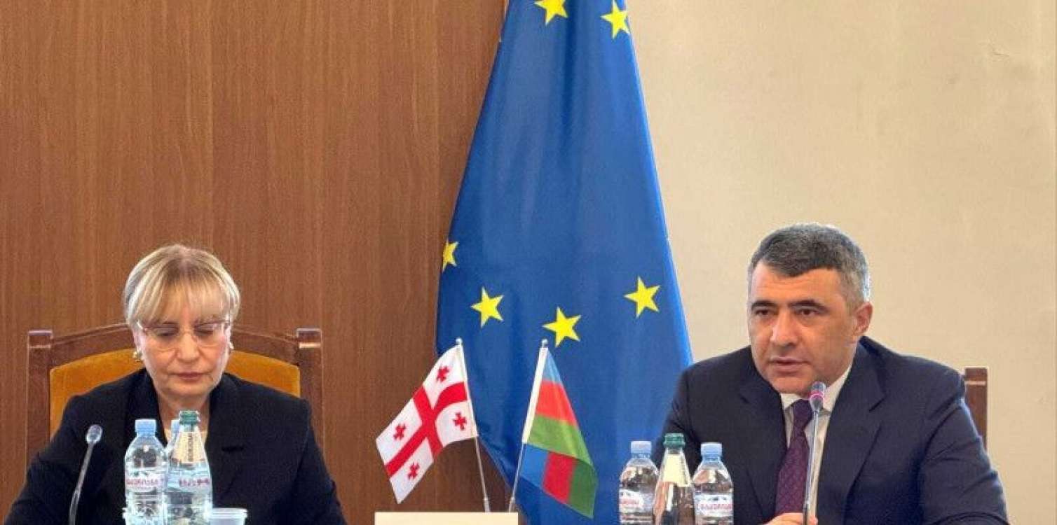 İnam Kərimov Gürcüstanda - FOTO 