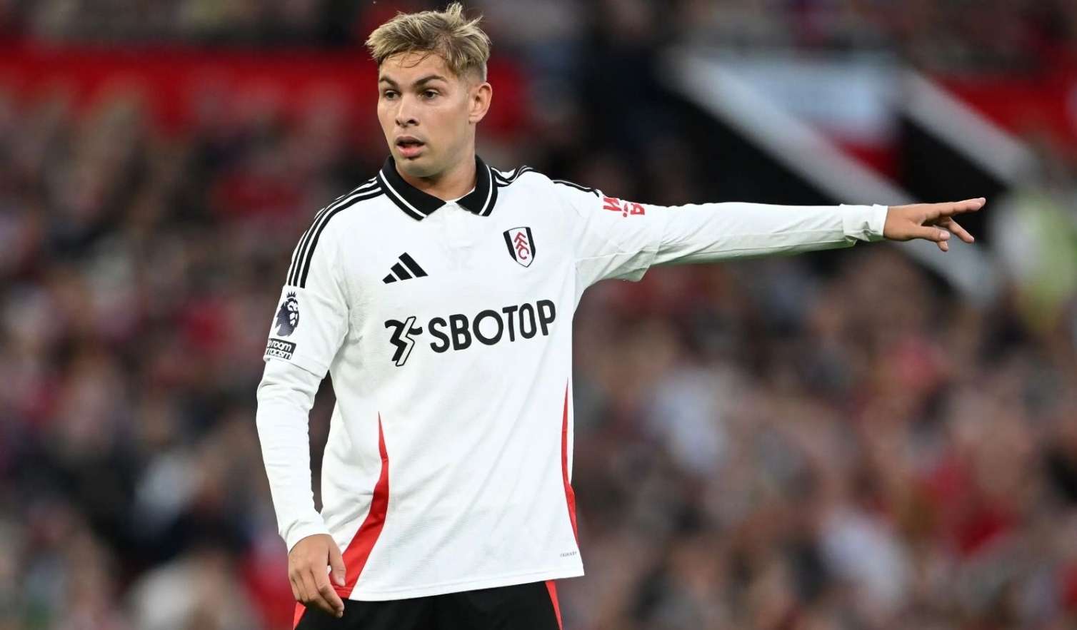 Tayler Dibblinq "Tottenhem"ə keçə bilər 