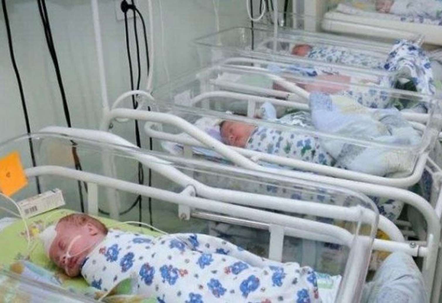 Ölkəmizdə doğum sayı AZALIB 