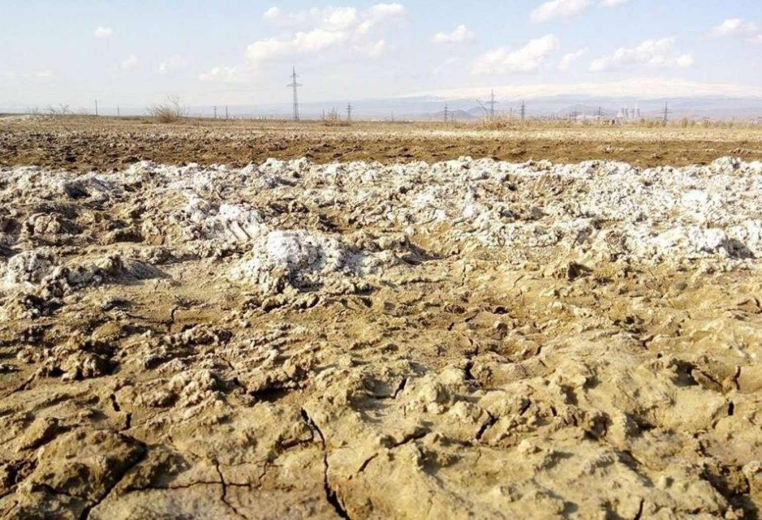 "Torpaqlar susuzluqdan deqradasiyaya uğrayır" - Ekspert 