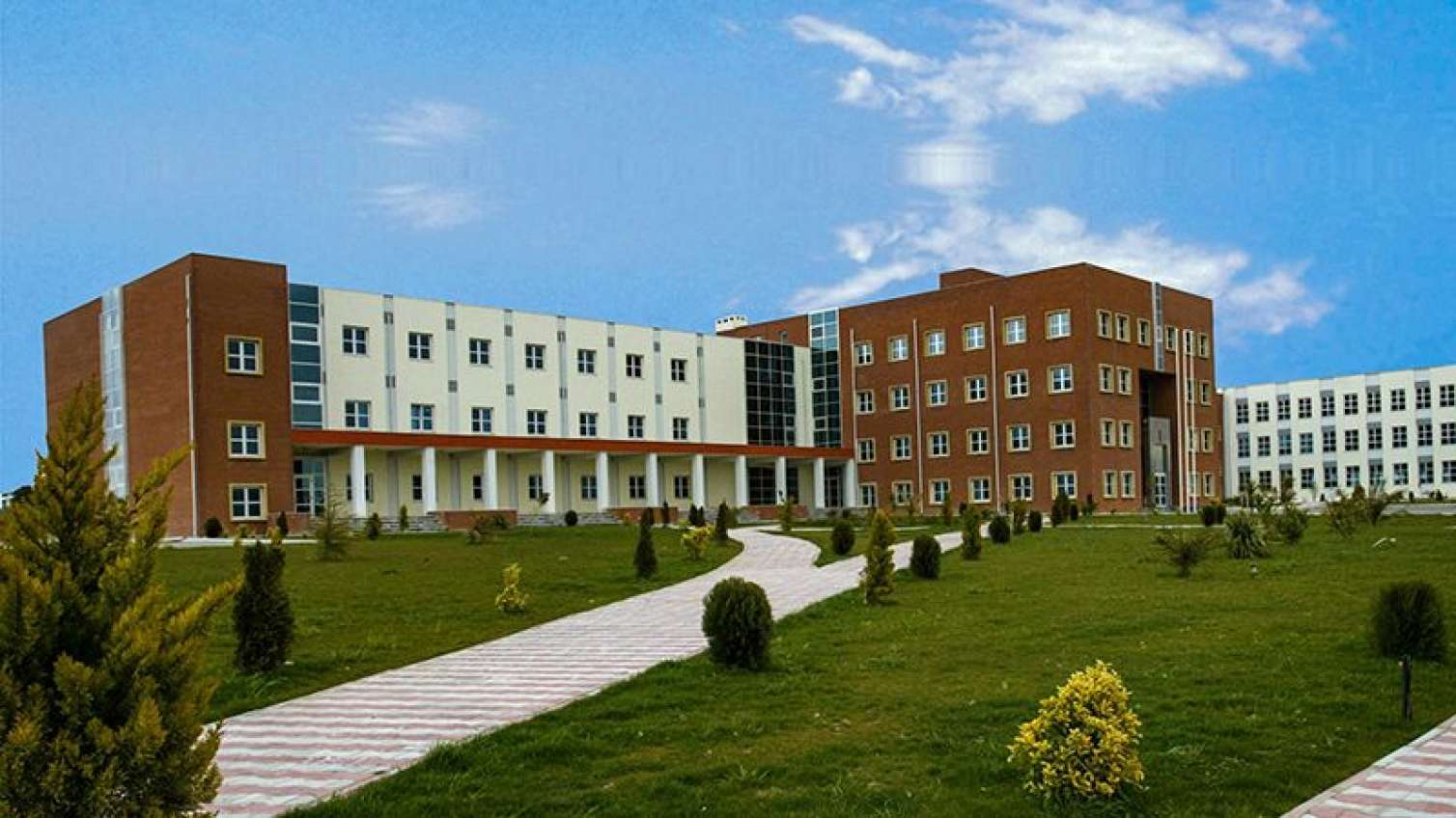 Azərbaycanda yeni institut yaradıldı 