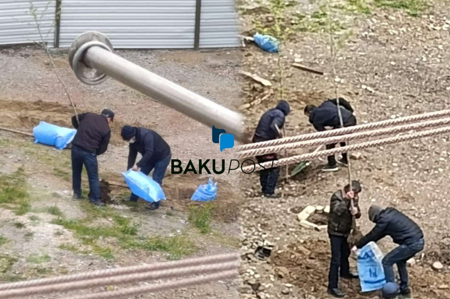 Sumqayıtda Heydər Əliyevin yubileyi ilə əlaqədar salınan yaşıllıq məhv edilib - Nazirlikdən açıqlama - FOTO+VIDEO 