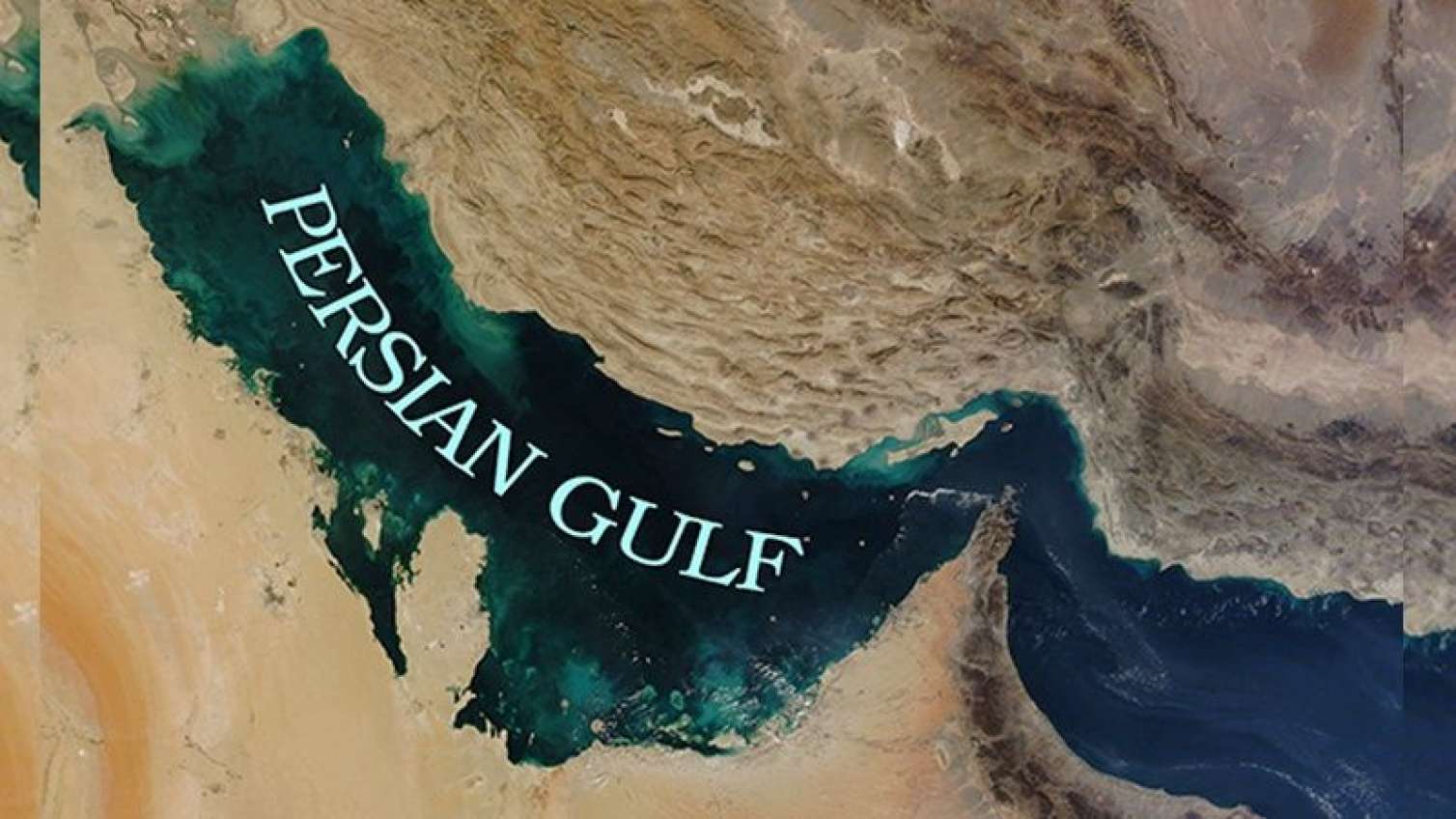 "Oyunbazlıqla camaatın başını tovlayırlar" -  Zərdüşt Əlizadə