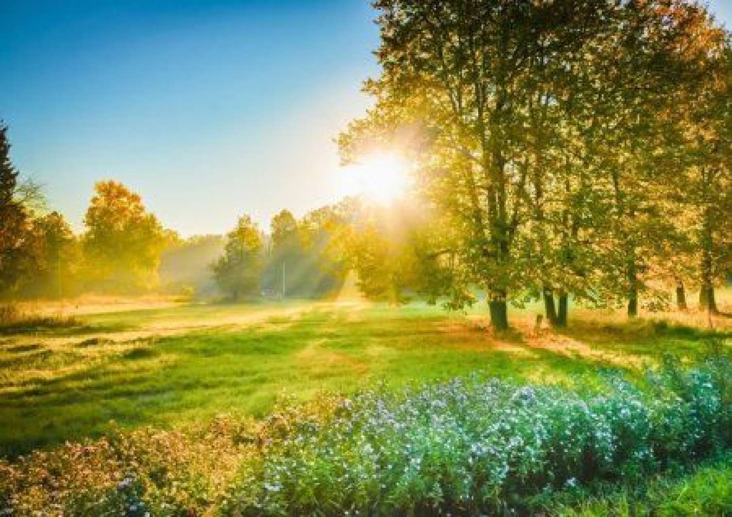Sabah 31 dərəcə isti olacaq 