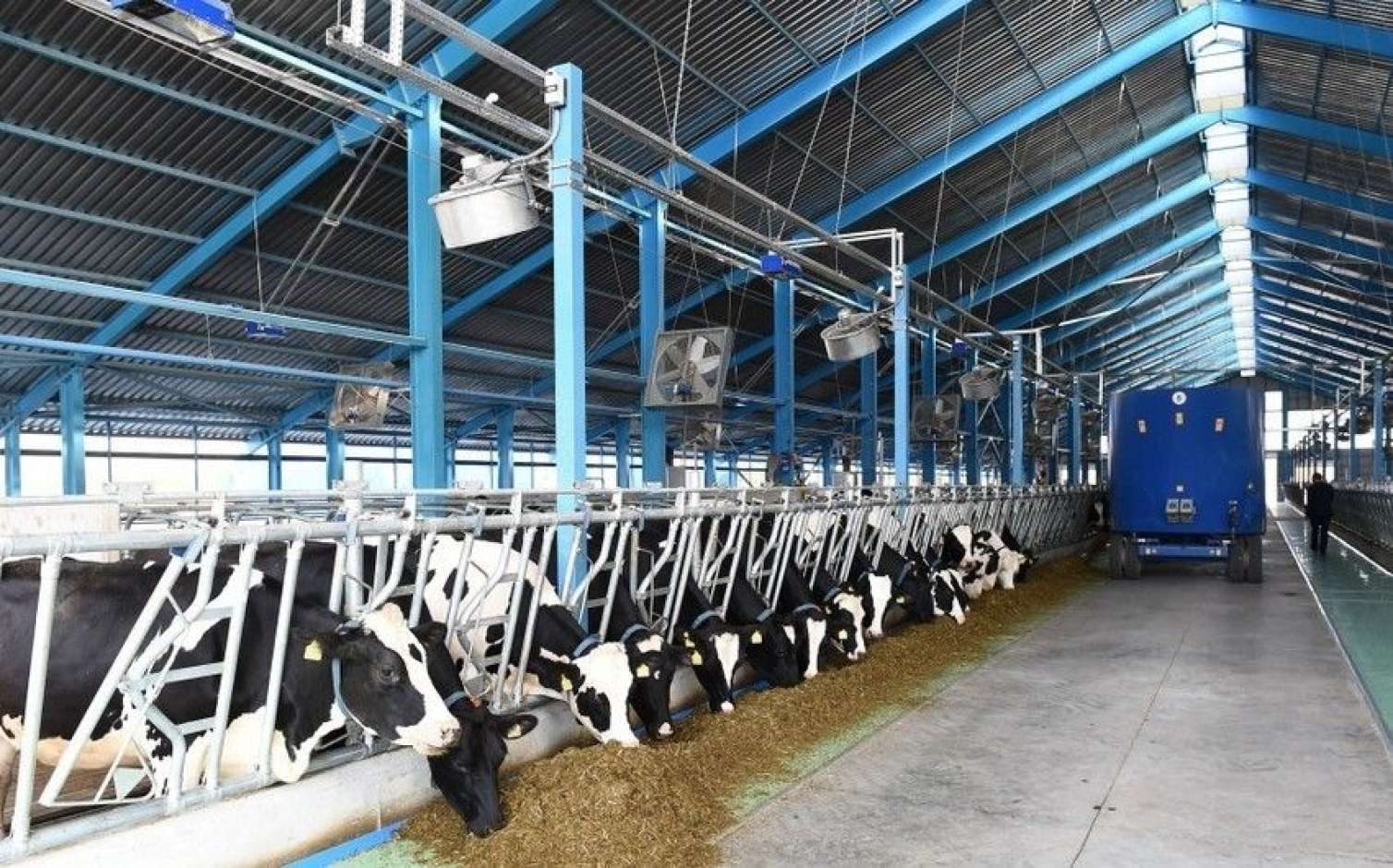 Xocalıda heyvandarlıq kompleksinin açılışı oldu 