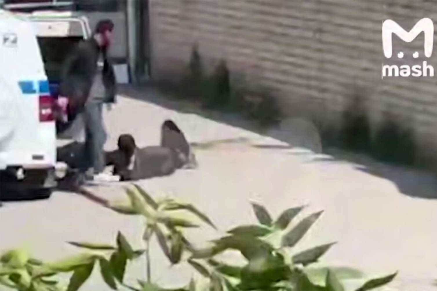 Dağıstanda polisə hücum edənlər terrorçulardır? 