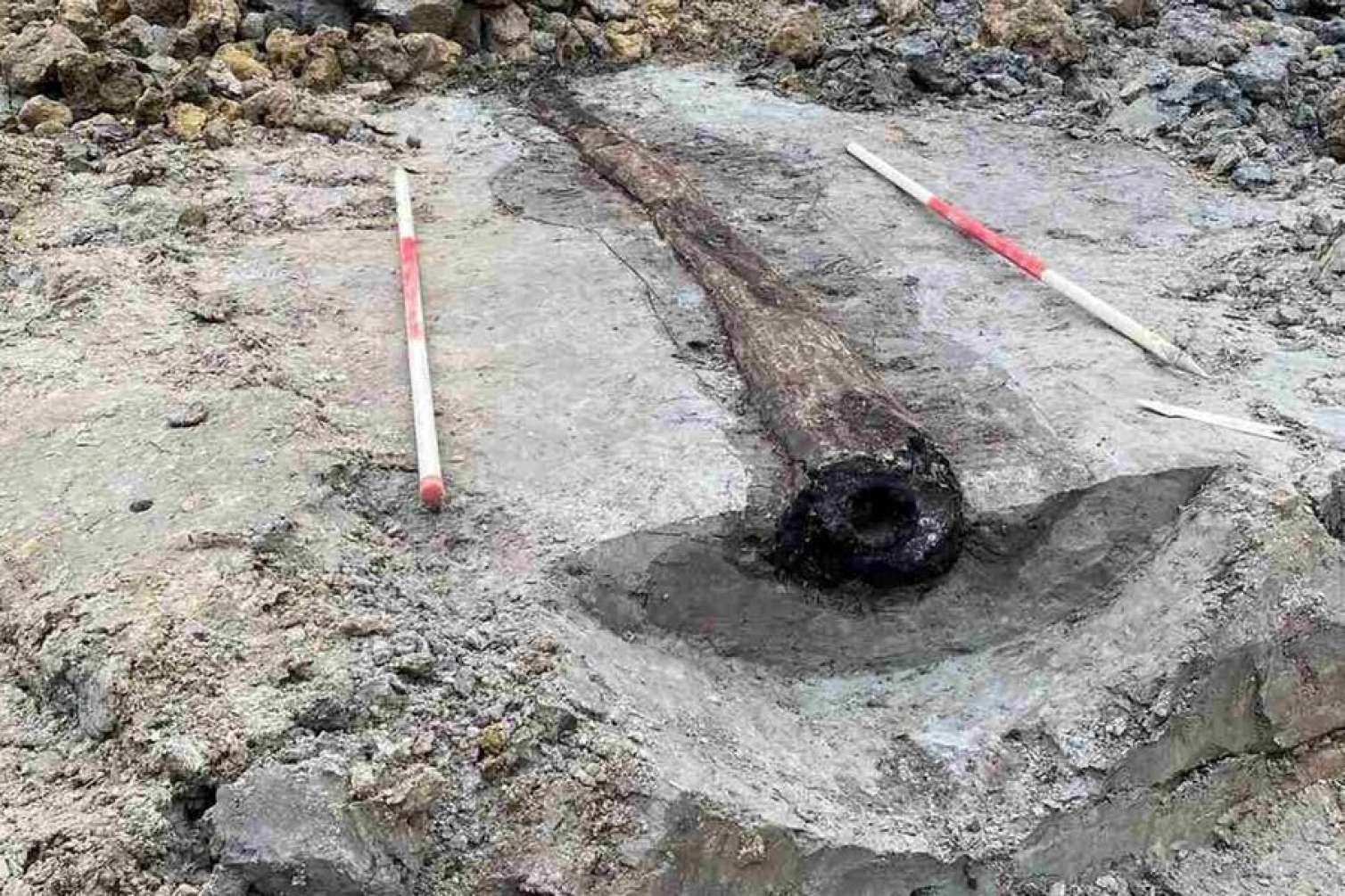 Ağacdan hazırlanan 1800 illik su borusu tapıldı -  FOTO