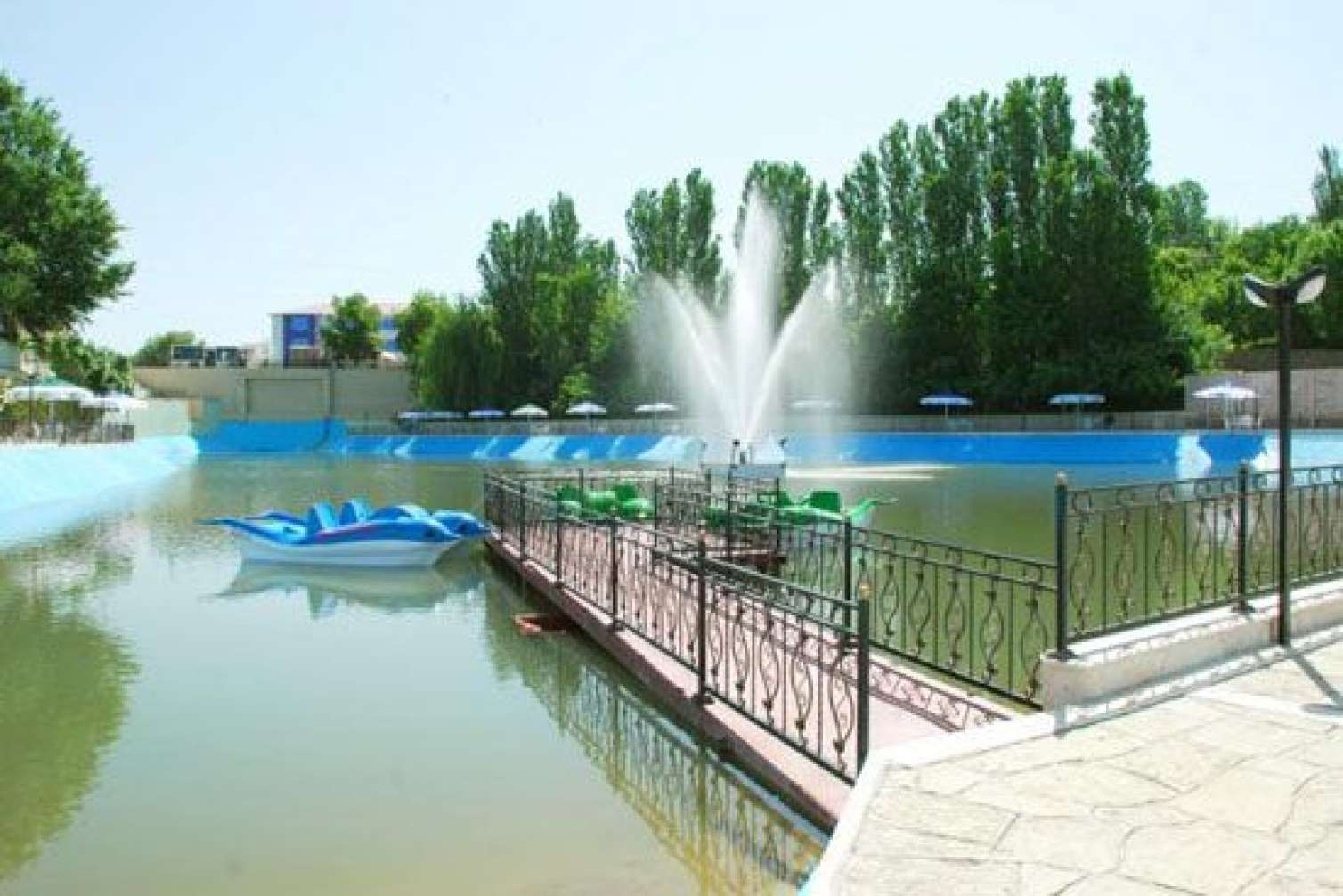 Naxçıvanda qadın gölə düşdü 