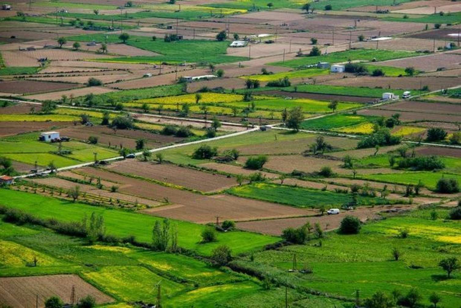  Torpaq almaq istəyənlərə ŞAD XƏBƏR - 46 manata.... 