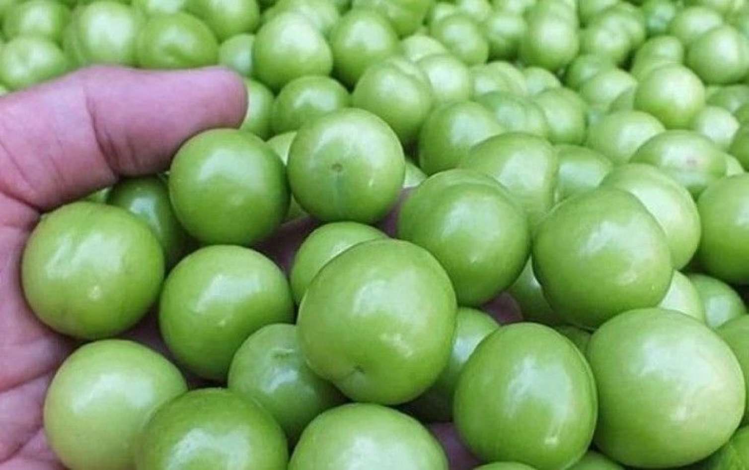 Alça yedikdən sonra bunu edin 