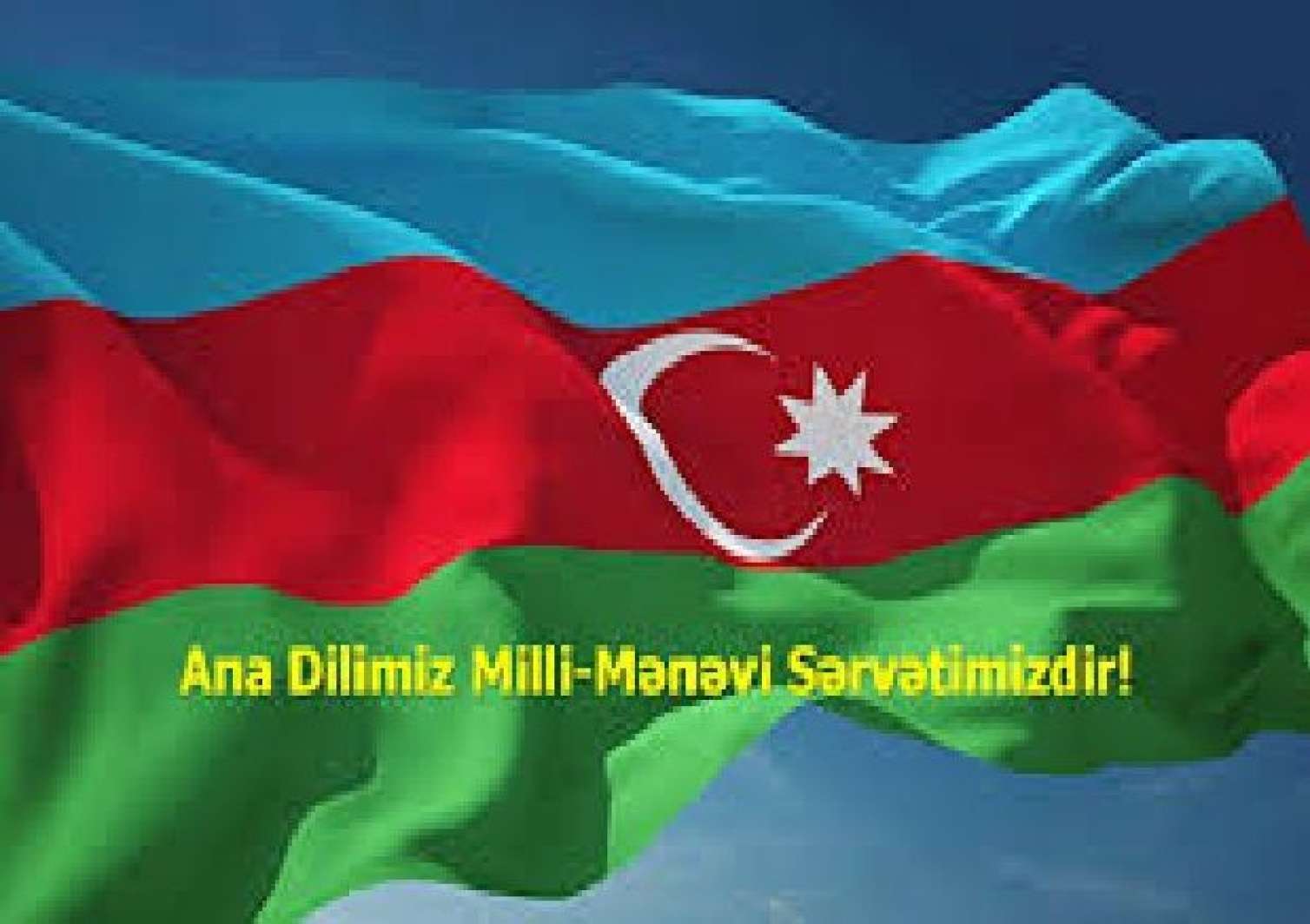 Dövlət dilimiz TƏHLÜKƏDƏ:  Lövhələrdə və vitrinlərdə Azərbaycan dili haradadır?