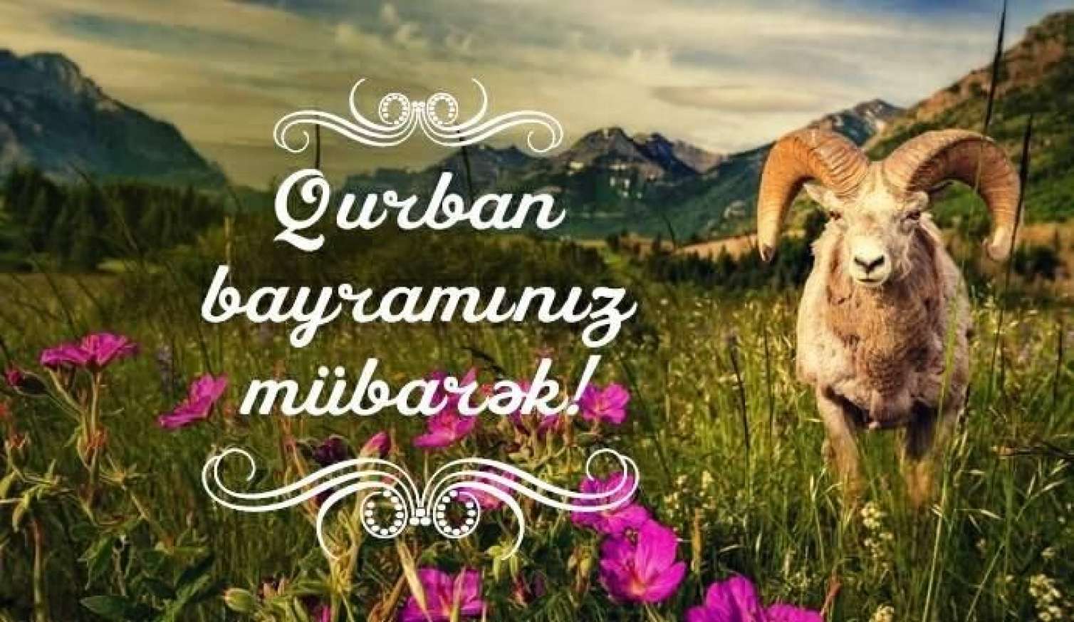Azərbaycanda Qurban bayramıdır 